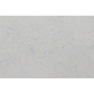 Пробковый пол Amorim CA Harmony White CAHW-Z10
